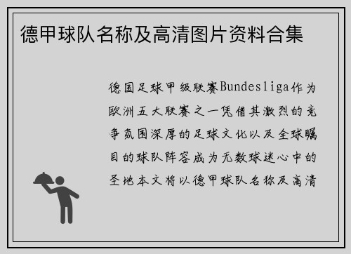 德甲球队名称及高清图片资料合集